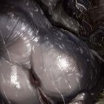Female Creature Porn