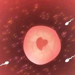 134 Sex Porn Videos: 720p HD XXX 2026