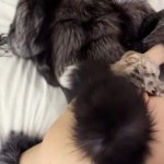 Die Porno-Videos 720p HD in der Kategorie Pelzmantel-Fetisch