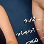 Penis Shrinking From Chastity Porn Videos