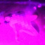 ZHEANIs Video on X