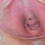 Close Up Open Pussy Porn Videos