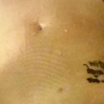 Free sweet margs porn Porn Photo Galleries