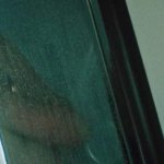 OMG his butt: Brendan Hines in Shelter in Place