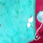 Chumki Bhabi Porn Videos: Best Full HD 1080p XXX 2026