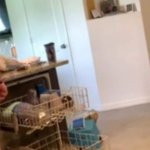 Dad bod naked man doing dishes