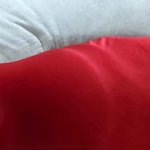 Thick Curvy BBW Milf Mom Twerking Big Ass On Black Guy Face Pussy Licking 69 Man Eating SSBBW