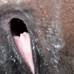 Creamy Hot Ebony Pussy Closeup Porn Videos