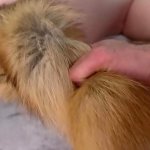 Bounded POV anal sex anal creampie