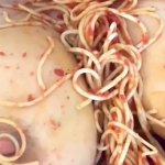 Free Food in Pussy Porn Videos