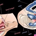 A Beginners Ultimate Guide To Anal Masturbation