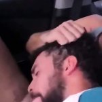 Blowjob in Car: American Gay Amateur Amateur Porn
