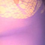 Fucking slut loves bouncing on that dick Porn Videos