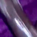 BBC dildo makes my pussy so creamy