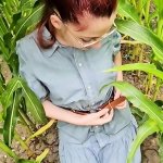 Outdoor Blowjob Corn Field Porn Videos