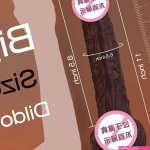 11 Inch Realistic Black Dildo