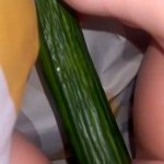 Cucumber and pussy