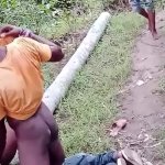 Lets fuck here in the woods