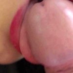 POV Close Up Blowjob Dedication Pleasure