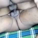 Free Bengali Wife Porn Videos