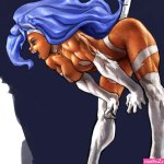 Felicia polycount