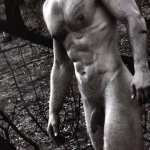 Naked Aussie men for photographer Paul Freeman