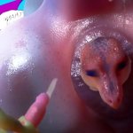 Brontos Crazy Hole Anal Vore