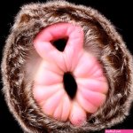 Lifelike Lion Pussy Realistic Furry Vagina For Penis Masturbation