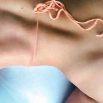 Ashok Asti XXX Porn Videos Page 3