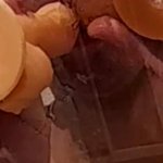 cheating husband in threesome with white cock and bbc stranger under shower at dildo tryout