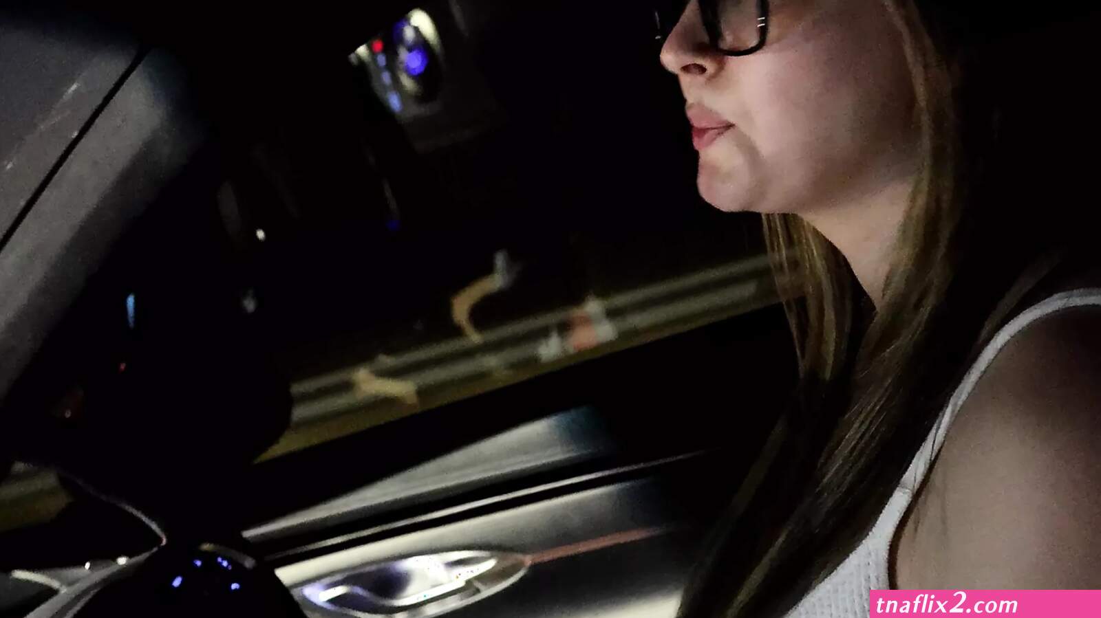 Car driving blowjob