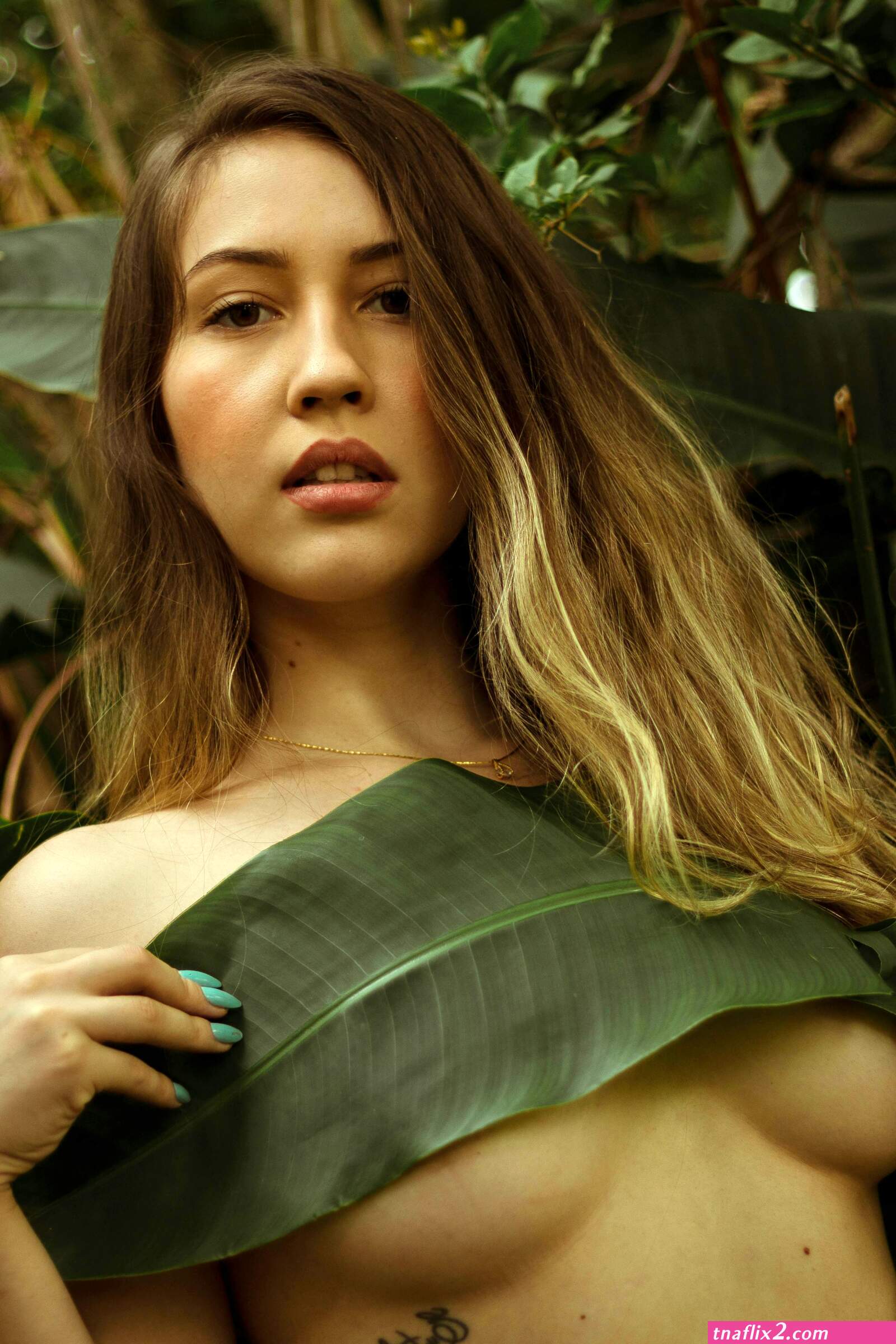 Hot female boobs