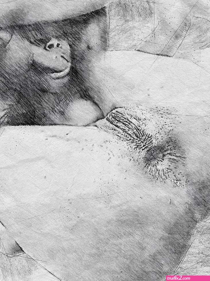 Pussy anal bouth