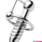 Stainless Steel Ass Funnel with Hollow Anal Plug