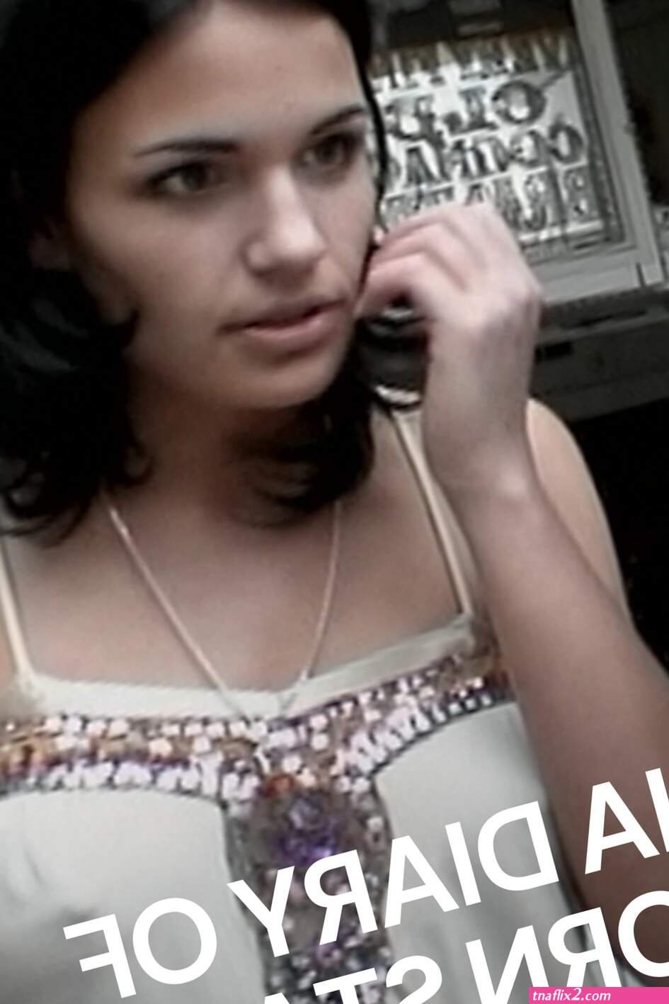 Nina diary of a porn star 2007